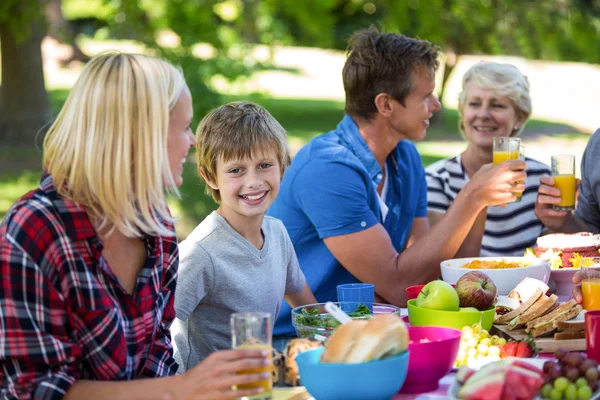 Famiglia fare un picnic — Foto Stock
