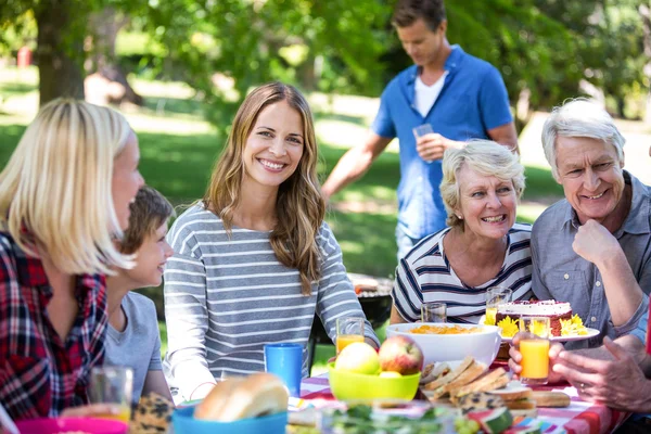 Family and friends having a picnic — Stock Photo, Image