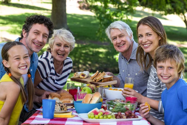 Familia haciendo un picnic —  Fotos de Stock