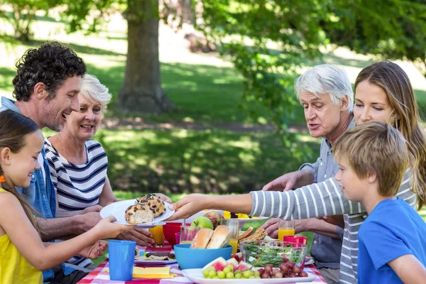 Aile piknik yapıyor. — Stok fotoğraf