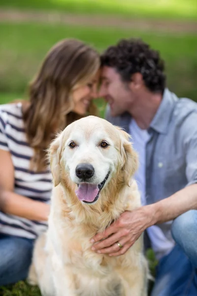 Couple avec leur chien dans le parc — Photo