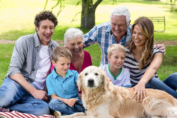 Семья с собакой в парке — стоковое фото