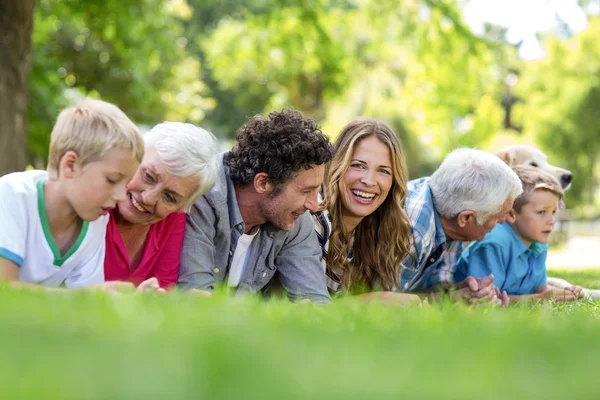 Family with dog lying on the grass in the park — Stock Photo, Image