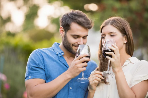 Coppia bere vino al parco — Foto Stock