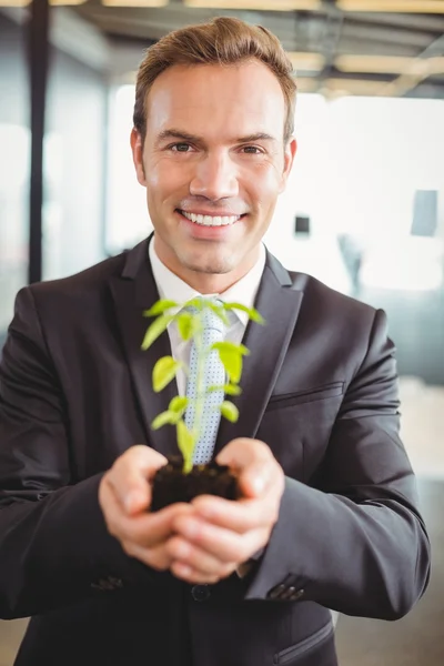 Happy businessman holding plant — Stock Photo, Image