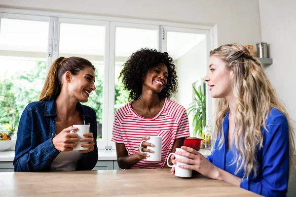 Freunde reden und halten Kaffeebecher — Stockfoto