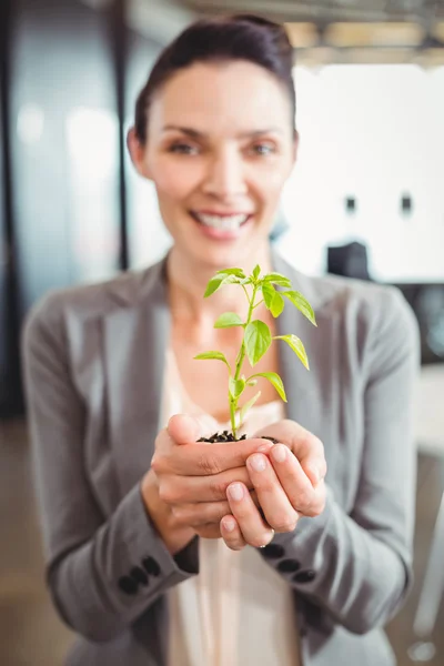 Empresária exploração planta — Fotografia de Stock