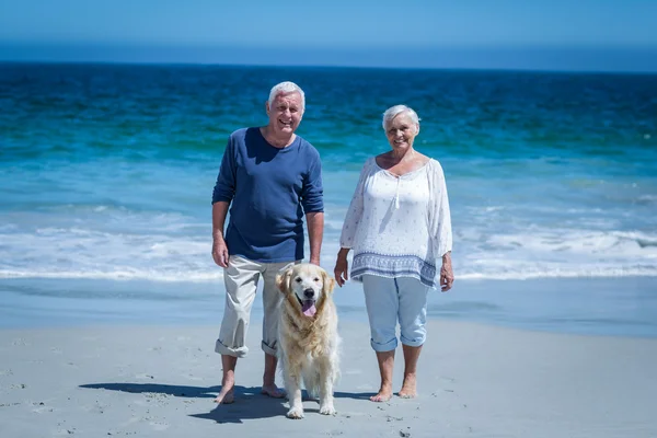 Couple holding hands walking the dog — Stock Photo, Image