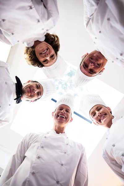 Команда шеф-кухарів стоїть в колі — стокове фото