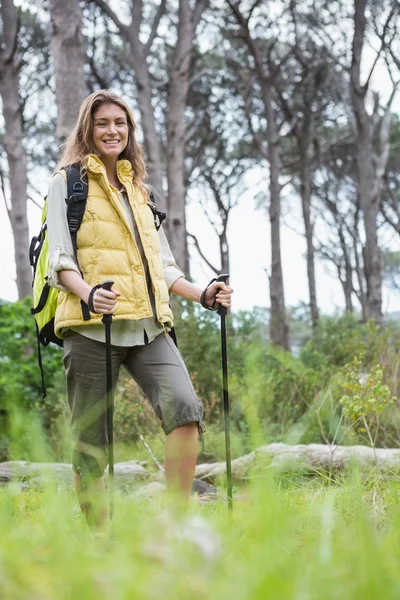 Donna sorridente nordic walking — Foto Stock