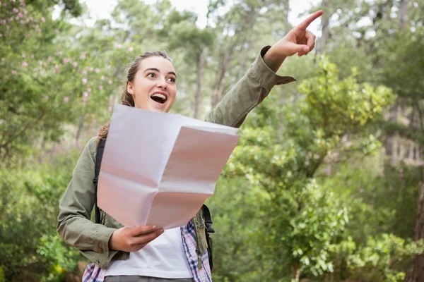 Vrouw controleren van de kaart — Stockfoto