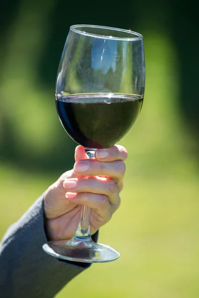 Bliska kobiecej dłoni trzyma kieliszek z winem — Zdjęcie stockowe