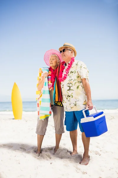 Senior couple holding icebox — Stock Photo, Image