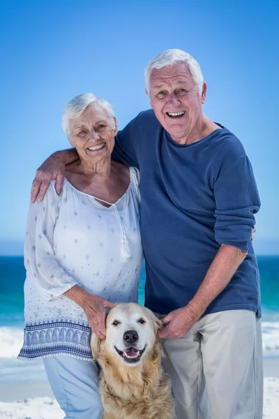 Roztomilý starší pár hlazení psa — Stock fotografie