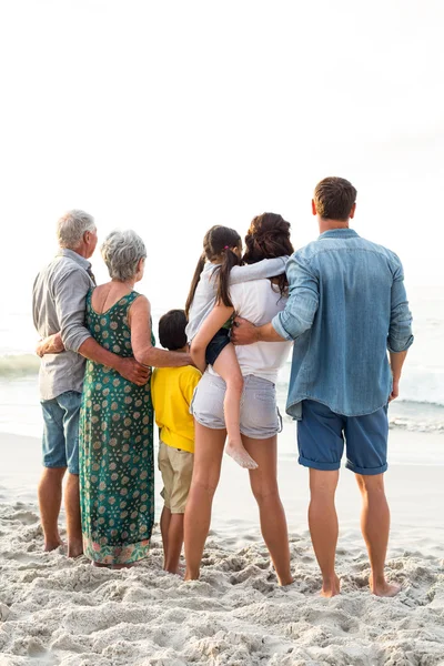 一个幸福的家庭，在沙滩上摆姿势的后视图 — 图库照片
