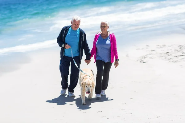 Cute mature couple walking their dog — Stock Photo, Image