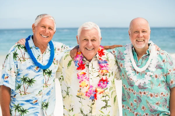 Hombres mayores de pie en la playa —  Fotos de Stock