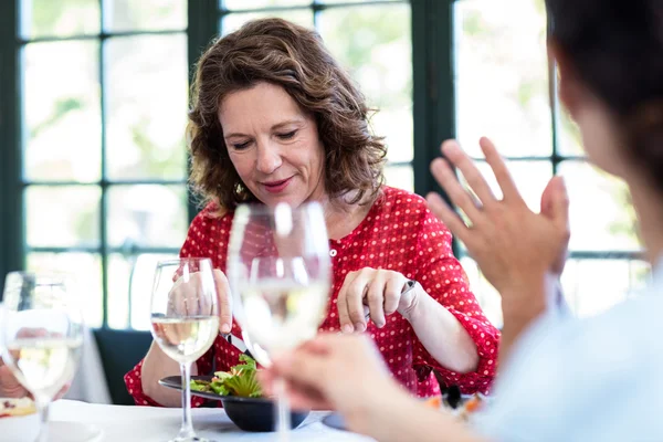 Freunde unterhalten sich beim Mittagessen — Stockfoto