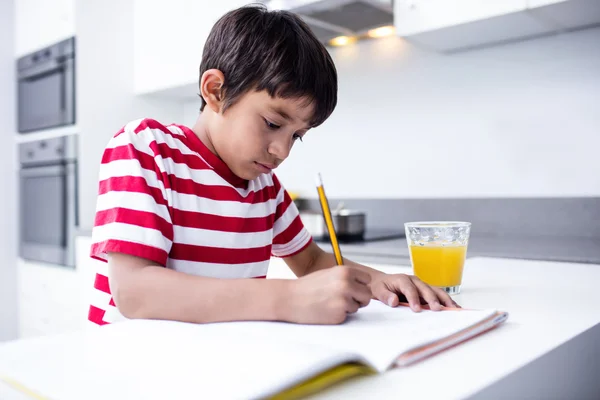 Ritratto di ragazzo che fa i compiti in cucina — Foto Stock