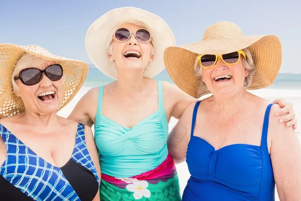 Retrato de amigas mayores —  Fotos de Stock