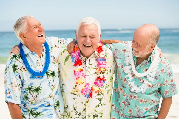 Hombres mayores de pie en la playa — Foto de Stock