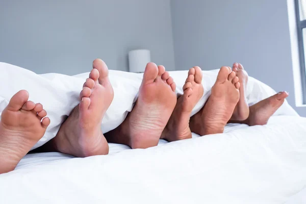 Fötter av familjen sticker ut från quilt — Stockfoto