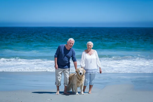 Casal de mãos dadas andando o cão — Fotografia de Stock