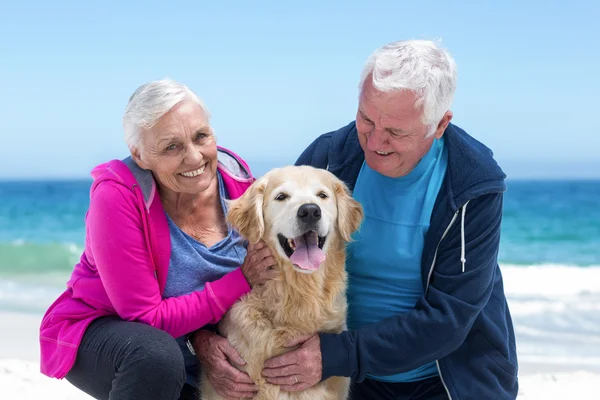 Niedlich reif pärchen petting ihre hund — Stockfoto