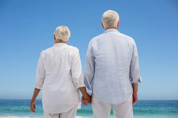 Pohled zezadu starší páru, drželi se za ruce — Stock fotografie