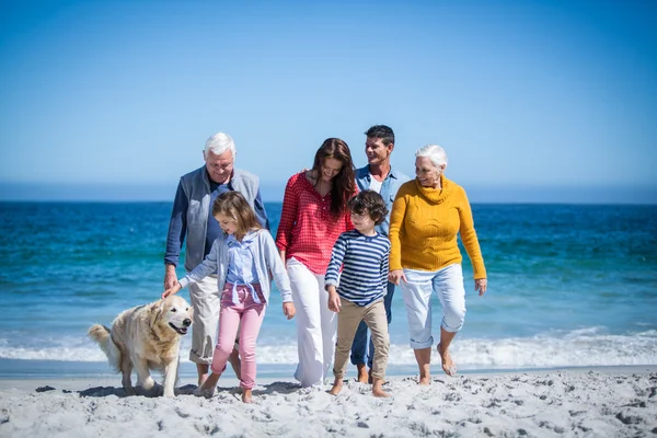 幸福的家庭，与他们的狗在沙滩上 — 图库照片