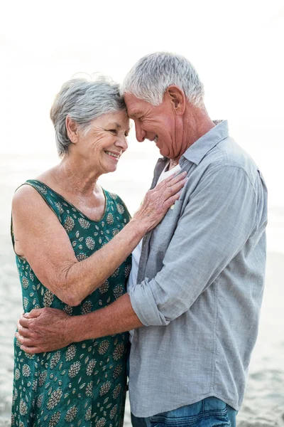 Senior couple embracing — Stock Photo, Image