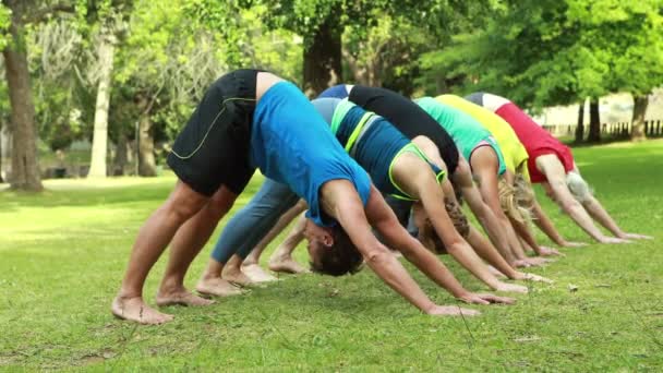 Gruppo di fitness che fa yoga nel parco — Video Stock