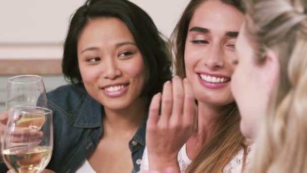 Female friends drinking white wine — Stock Video