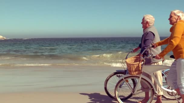 Couple sénior paisible marchant avec des vélos — Video