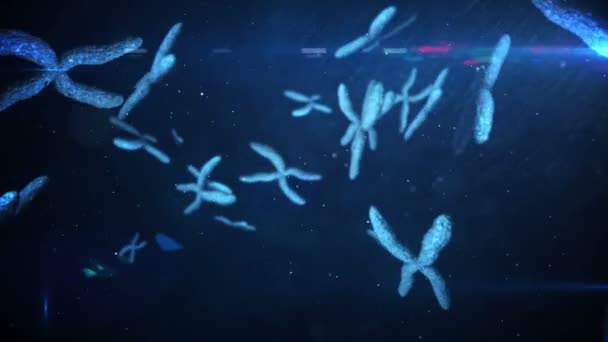 Animation beweglicher Chromosomen — Stockvideo