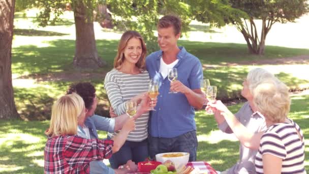 Feliz brindis familiar durante un picnic — Vídeos de Stock