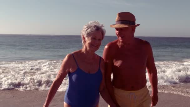 Lyckliga äldre par med en promenad — Stockvideo