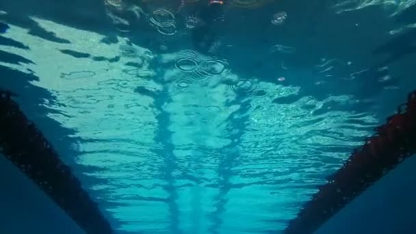 Υποβρύχια προβολή του ανθρώπου κολύμβηση και κατάδυση — Αρχείο Βίντεο