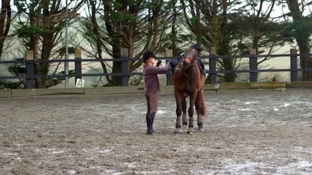 Vrouw die haar uitrusting uit haar paard buiten — Stockvideo