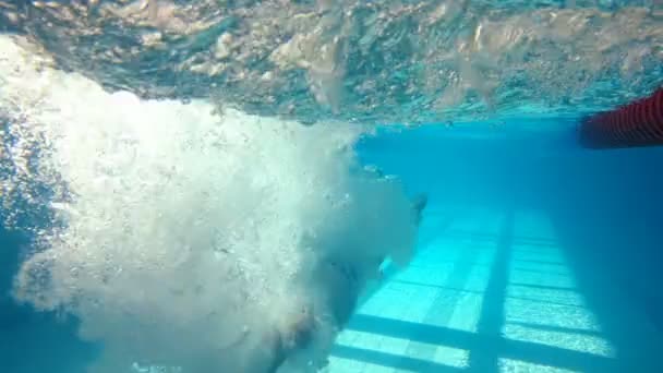 Mann schwimmt und taucht — Stockvideo