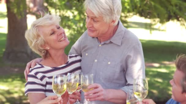 Happy family toasting during a picnic — Stock Video