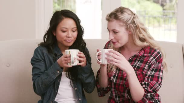 Två kvinnliga vänner dricker kaffe — Stockvideo