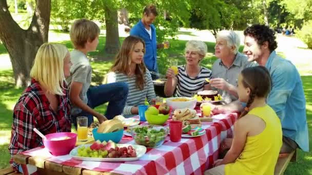 Familia haciendo picnic en el parque — Vídeo de stock