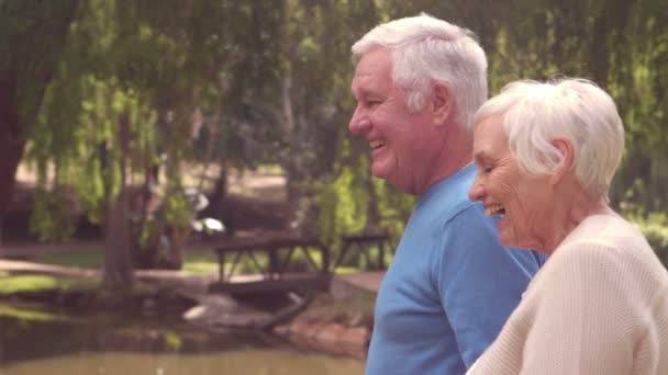 Abuelos caminando en un parque — Vídeos de Stock