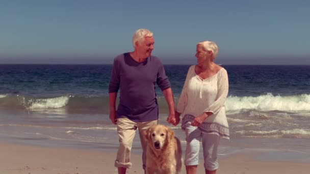 Heureux vieux couple avec chien souriant — Video