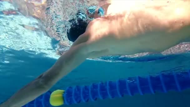 Underwater view of man swimming — Stock Video