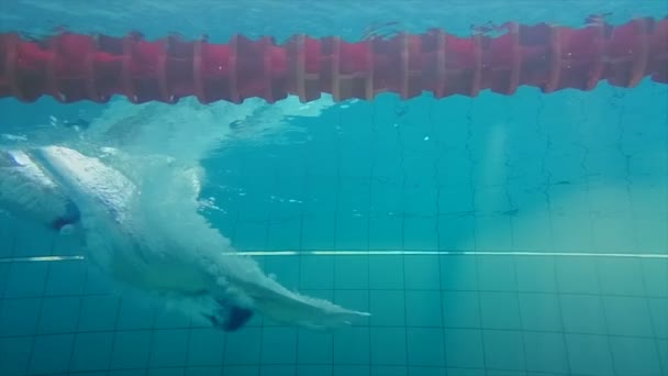 Vista submarina del hombre nadando y buceando — Vídeo de stock