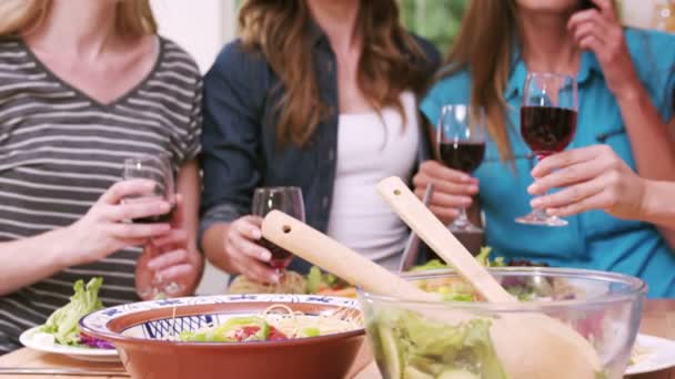 Amigos felices brindando con vino tinto — Vídeo de stock