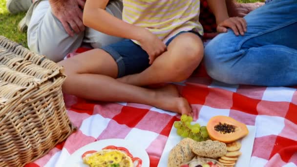 Familia feliz teniendo un picnic — Vídeo de stock