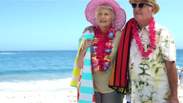 Äldre par på stranden — Stockvideo